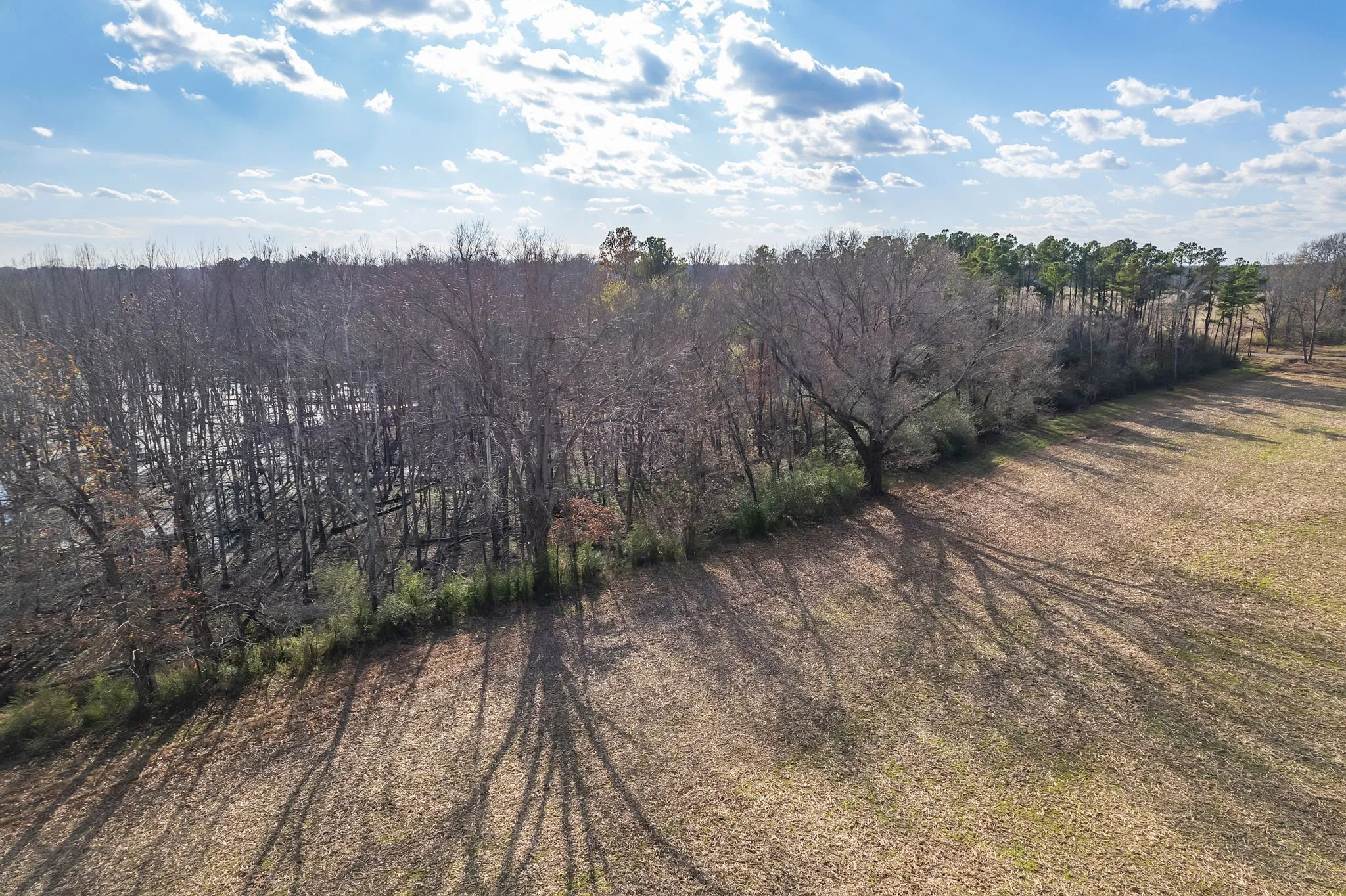 7. Completed-21 T1.jpg