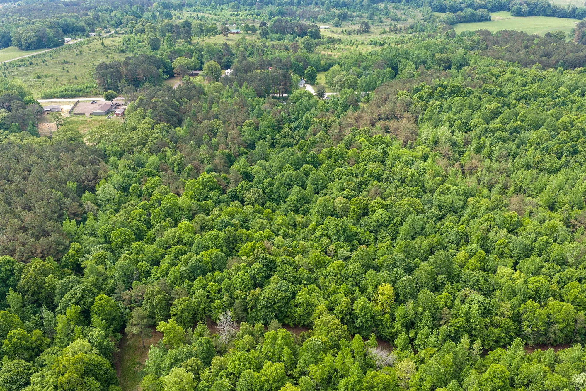 DJI_20260424103002_0980_D.jpg