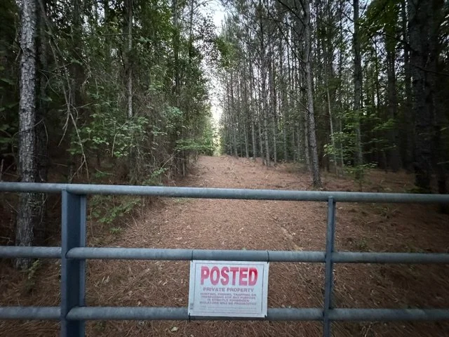 image6 (1).jpeg