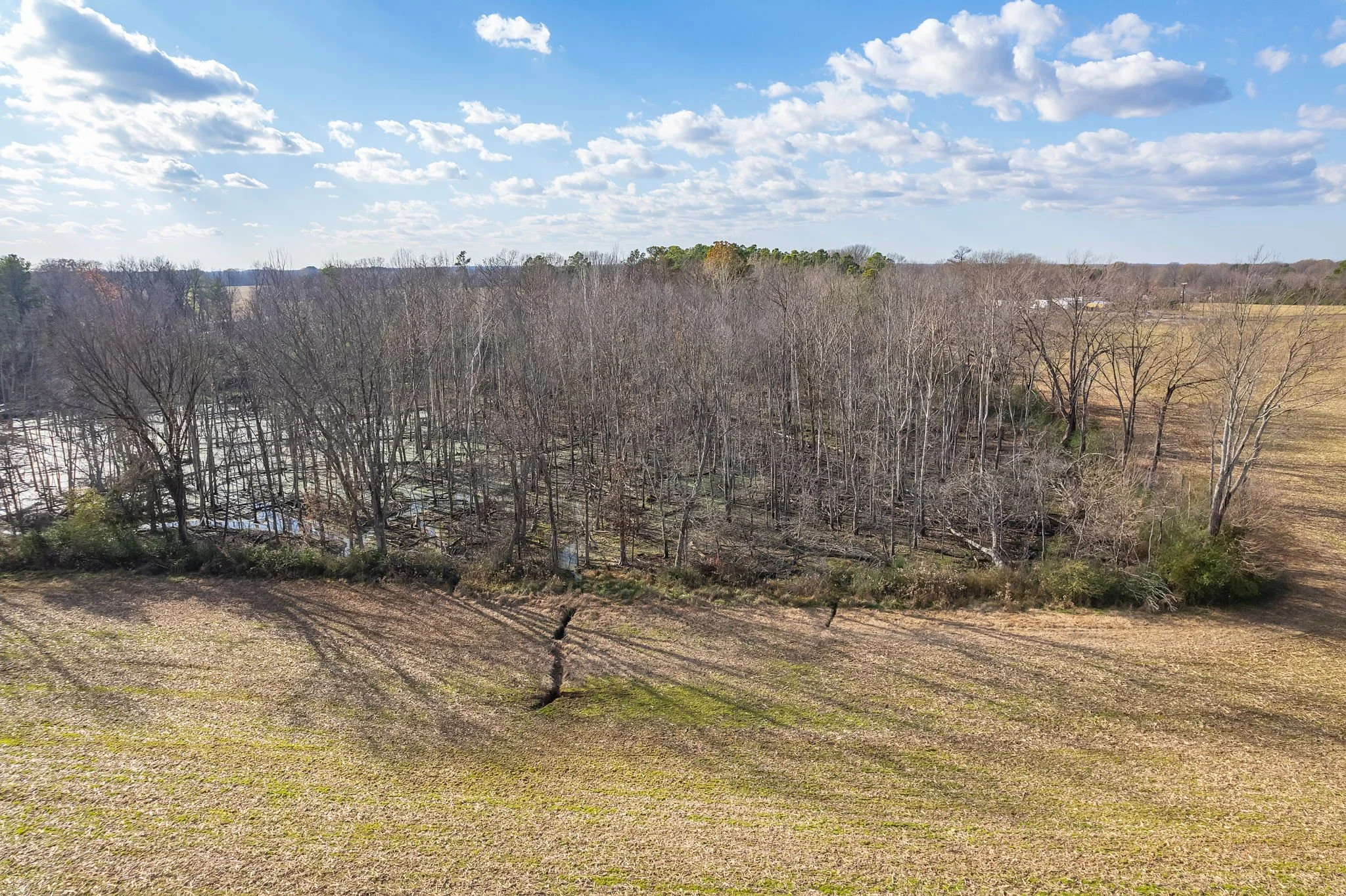 6. Completed-20 T1.jpg