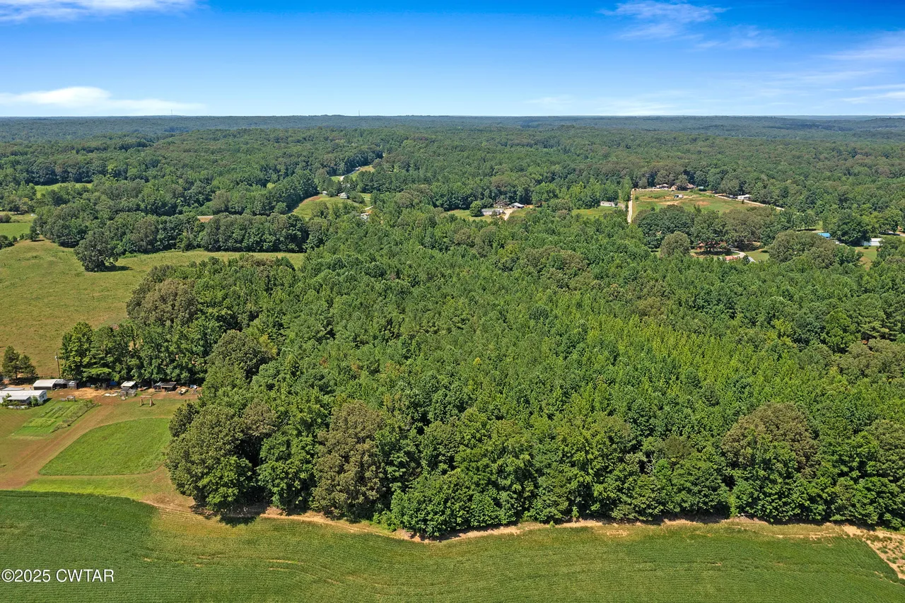 land_photo_11.png