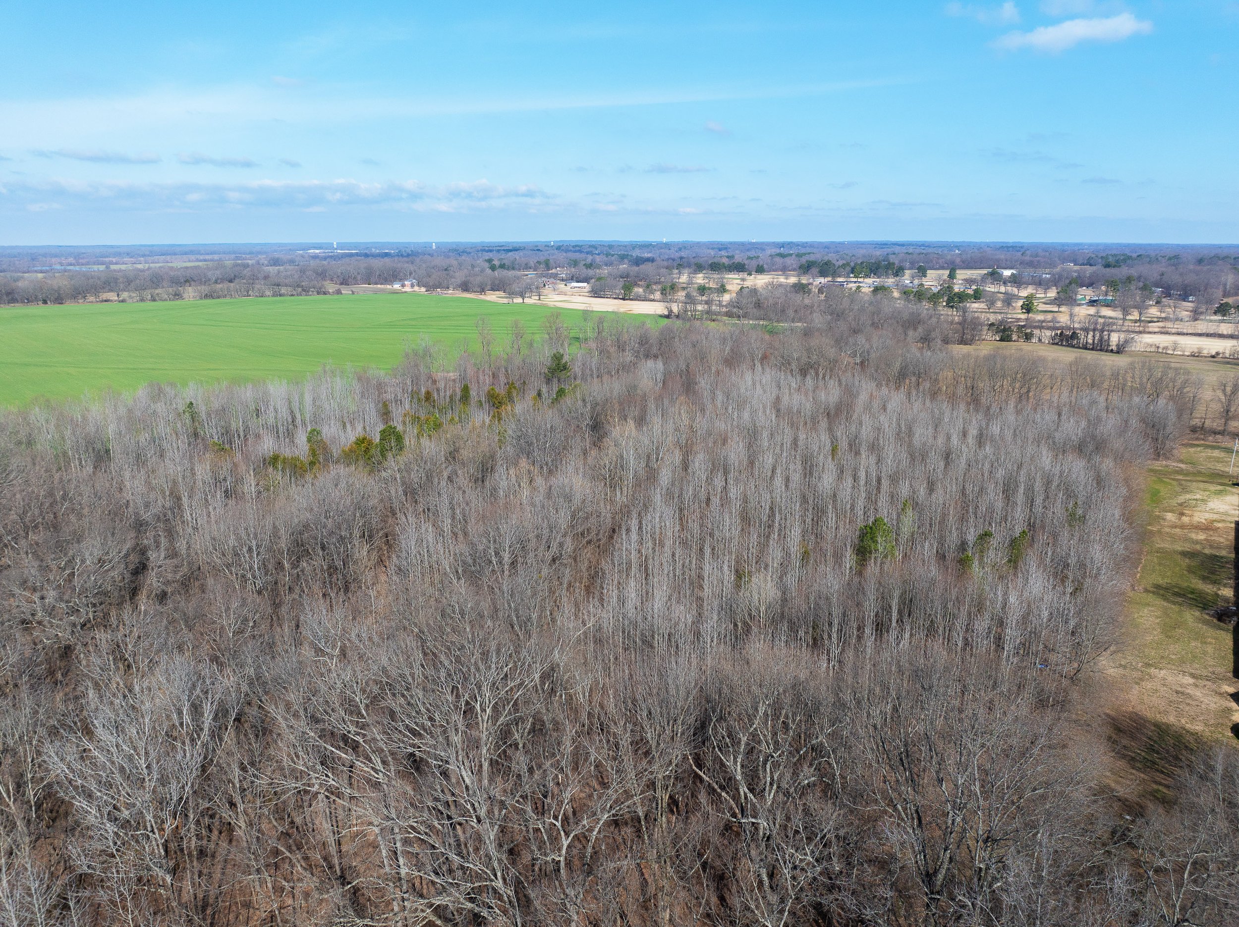 DJI_20250308103306_0191_D.jpg