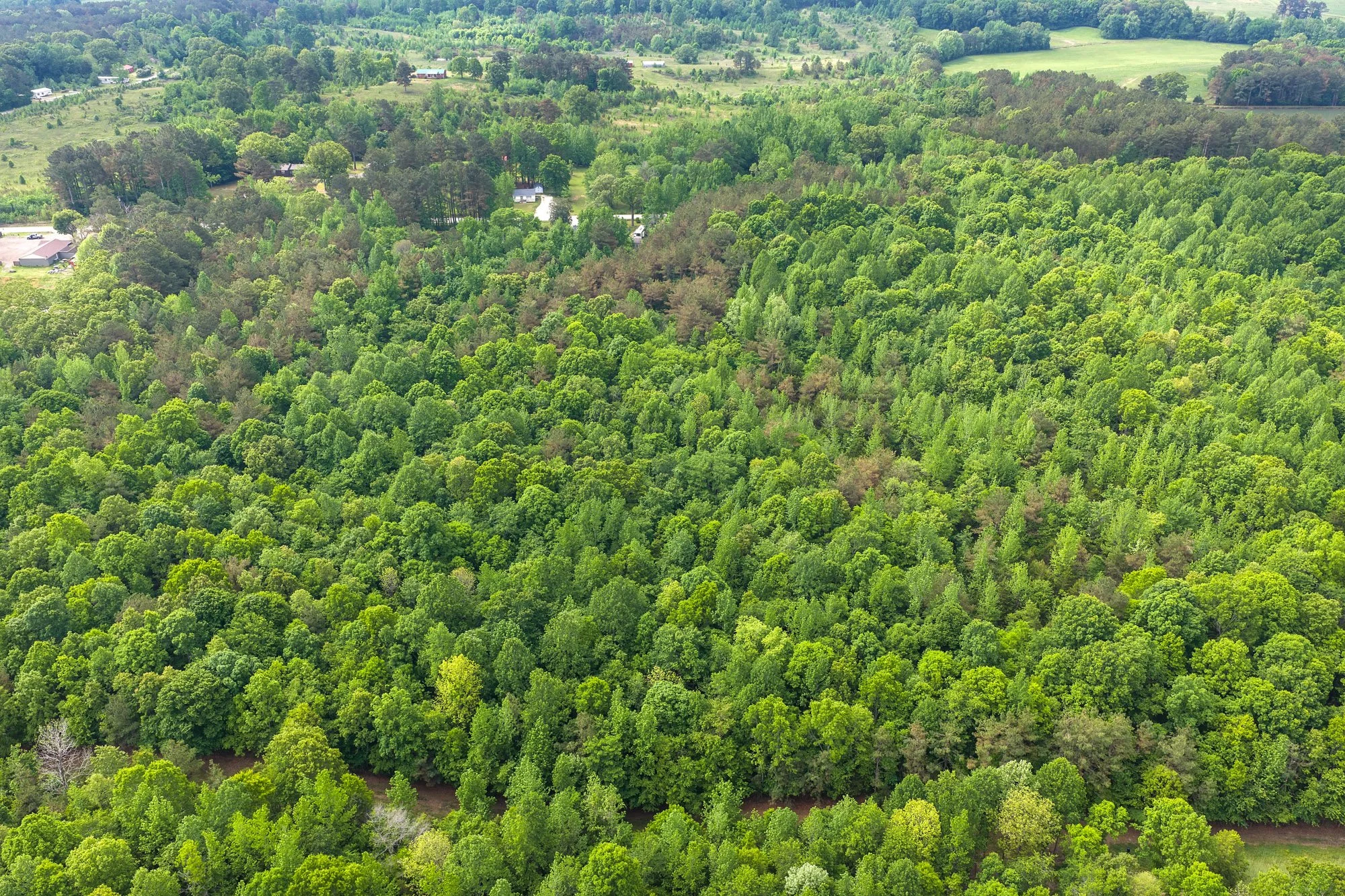 DJI_20260424102948_0979_D.jpg