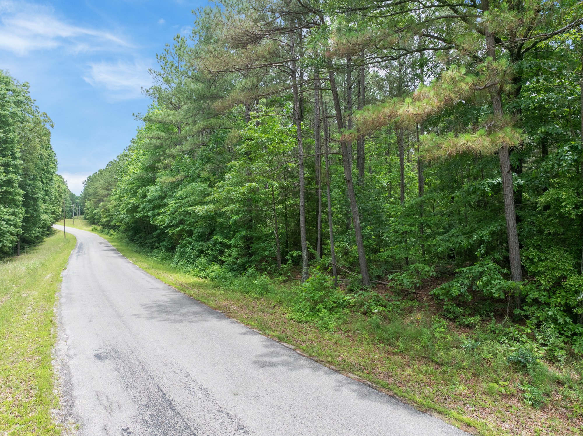 3. Road 1.jpg