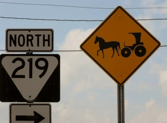12. tenn-amish-buggy-sign - Copy.webp