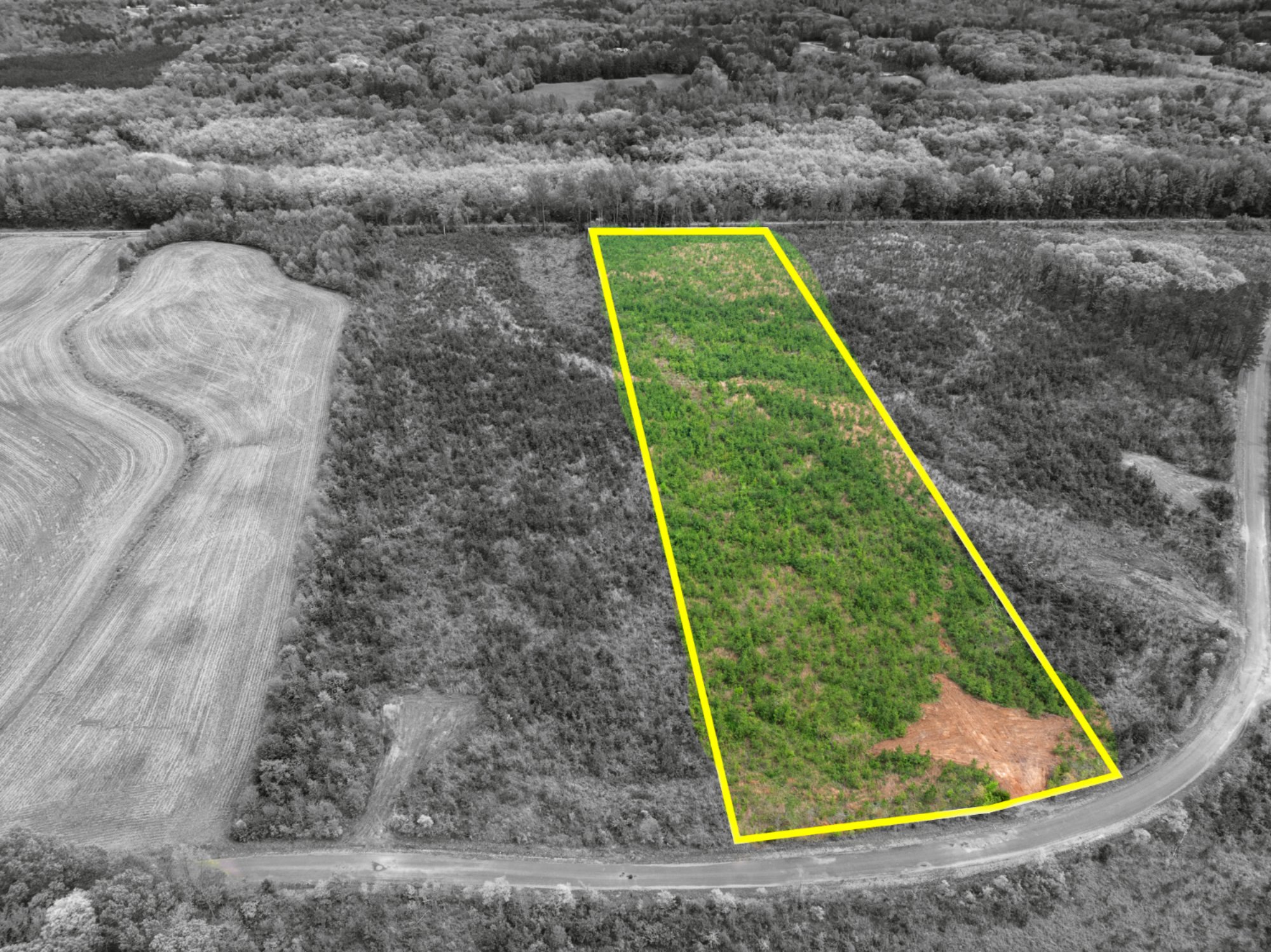 10 Acres - McNairy County, TN