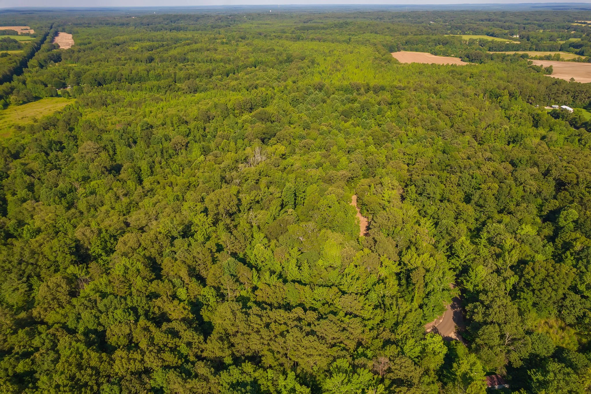 10.96 Acres - Hardeman County, TN