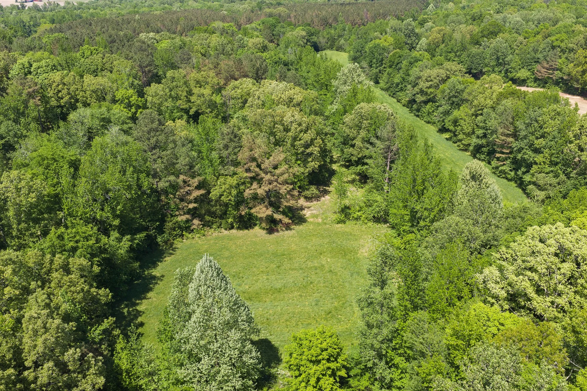 4. Tract 4 Clearing.jpg
