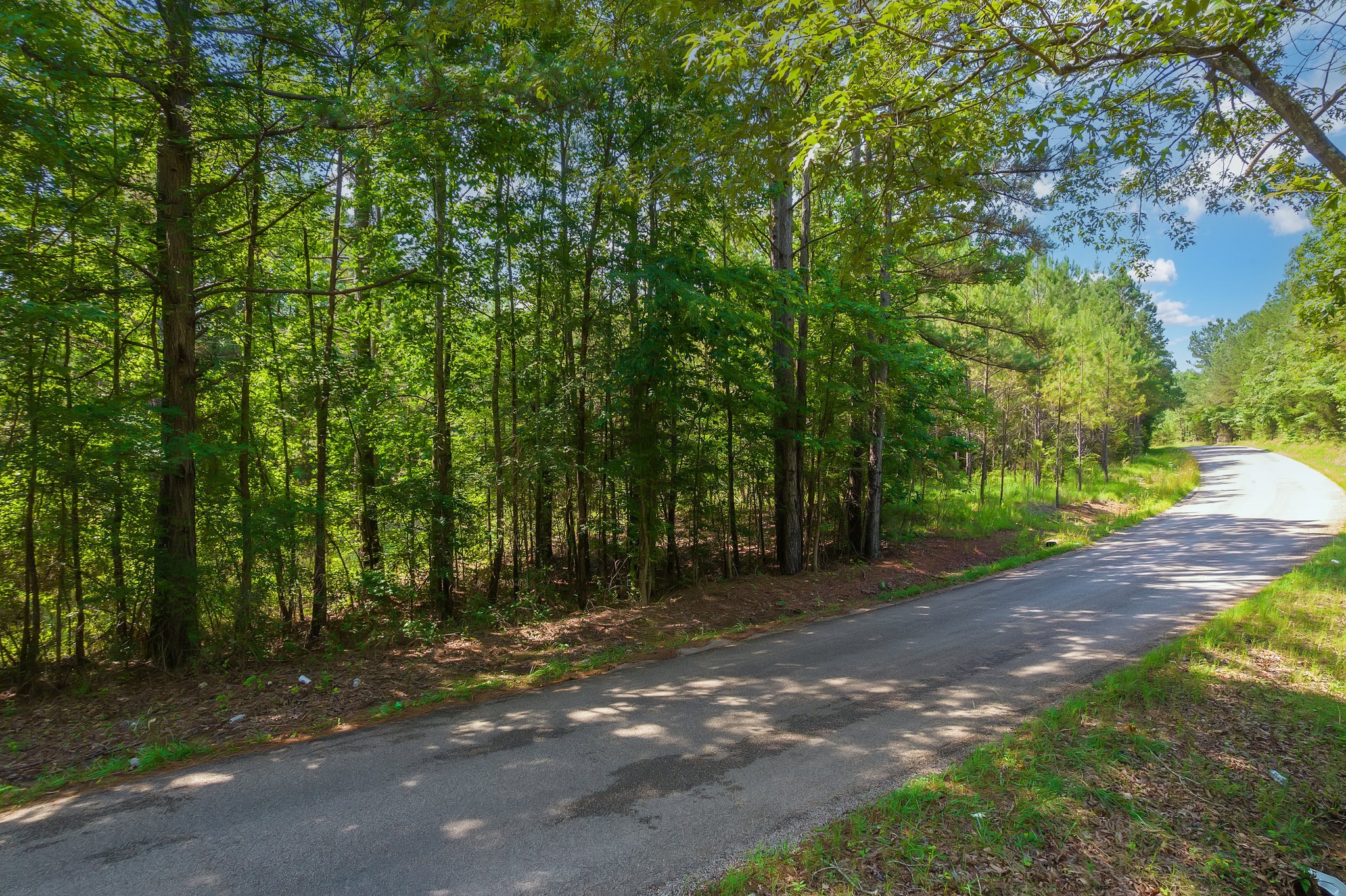2. Gay Thompson Rd.jpg