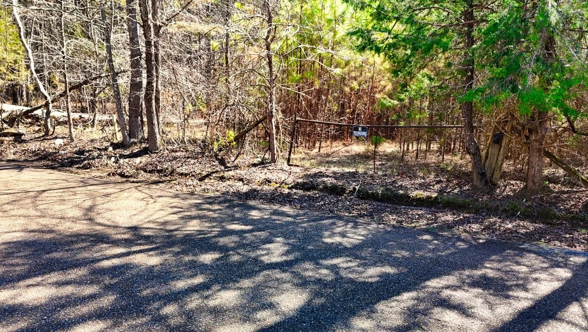 3. Lot 1 gate cleaned up.jpg