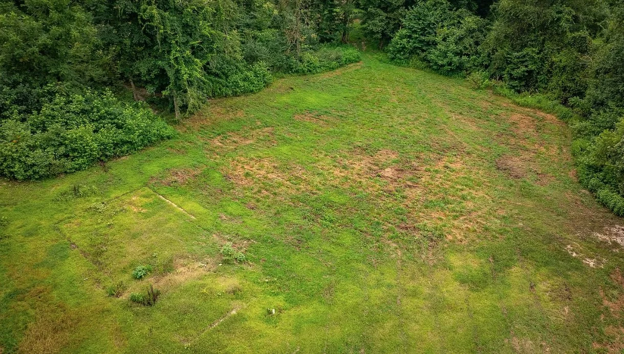 7. Tract 2 Clearing.jpg