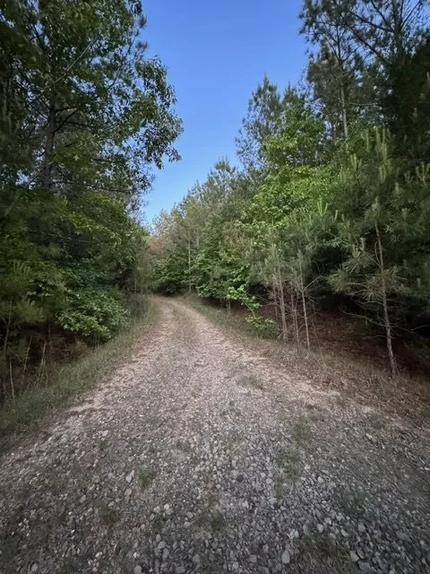 8.15 Acres - Marion County, AL