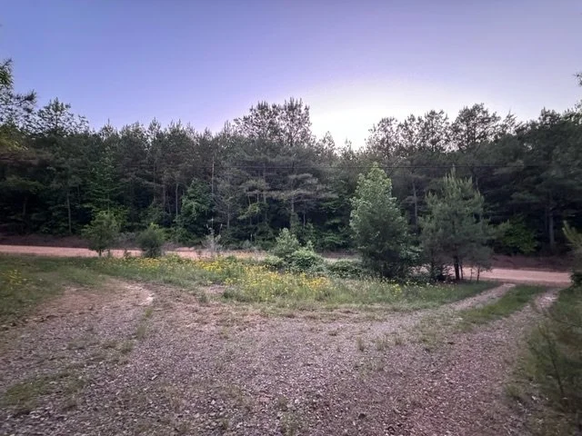 image12 (1).jpeg