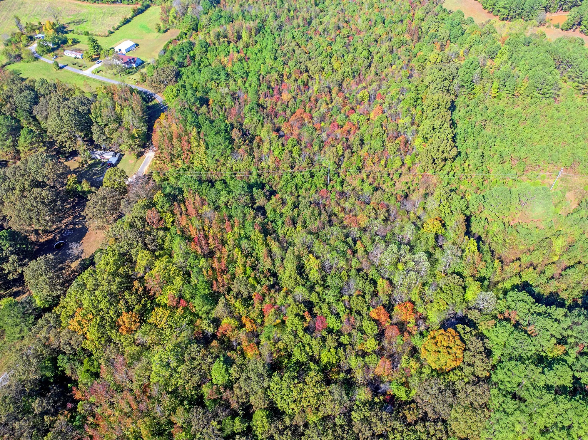 6. DJI_20251022141737_0556_D.jpg