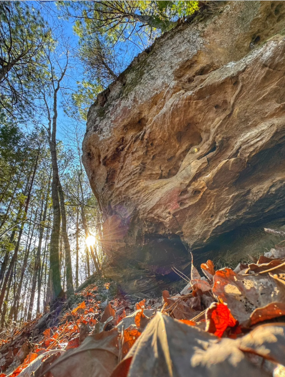 17.3 Acres - Marion County, AL