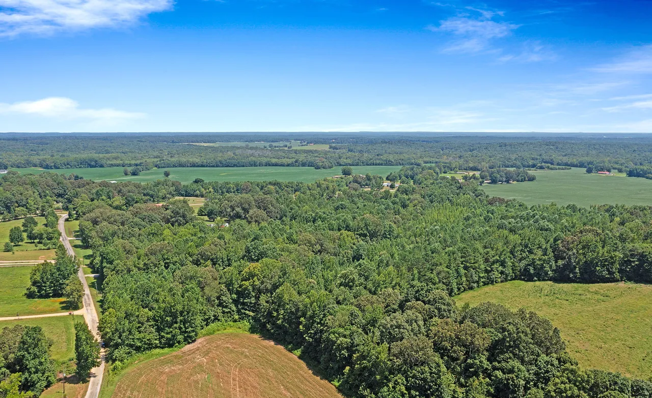land_photo_02.png
