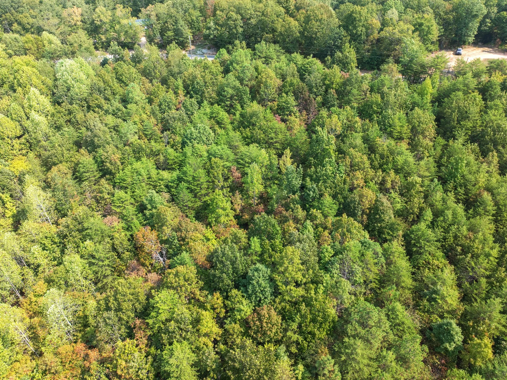 9. DJI_20250905105847_0516_D.jpg