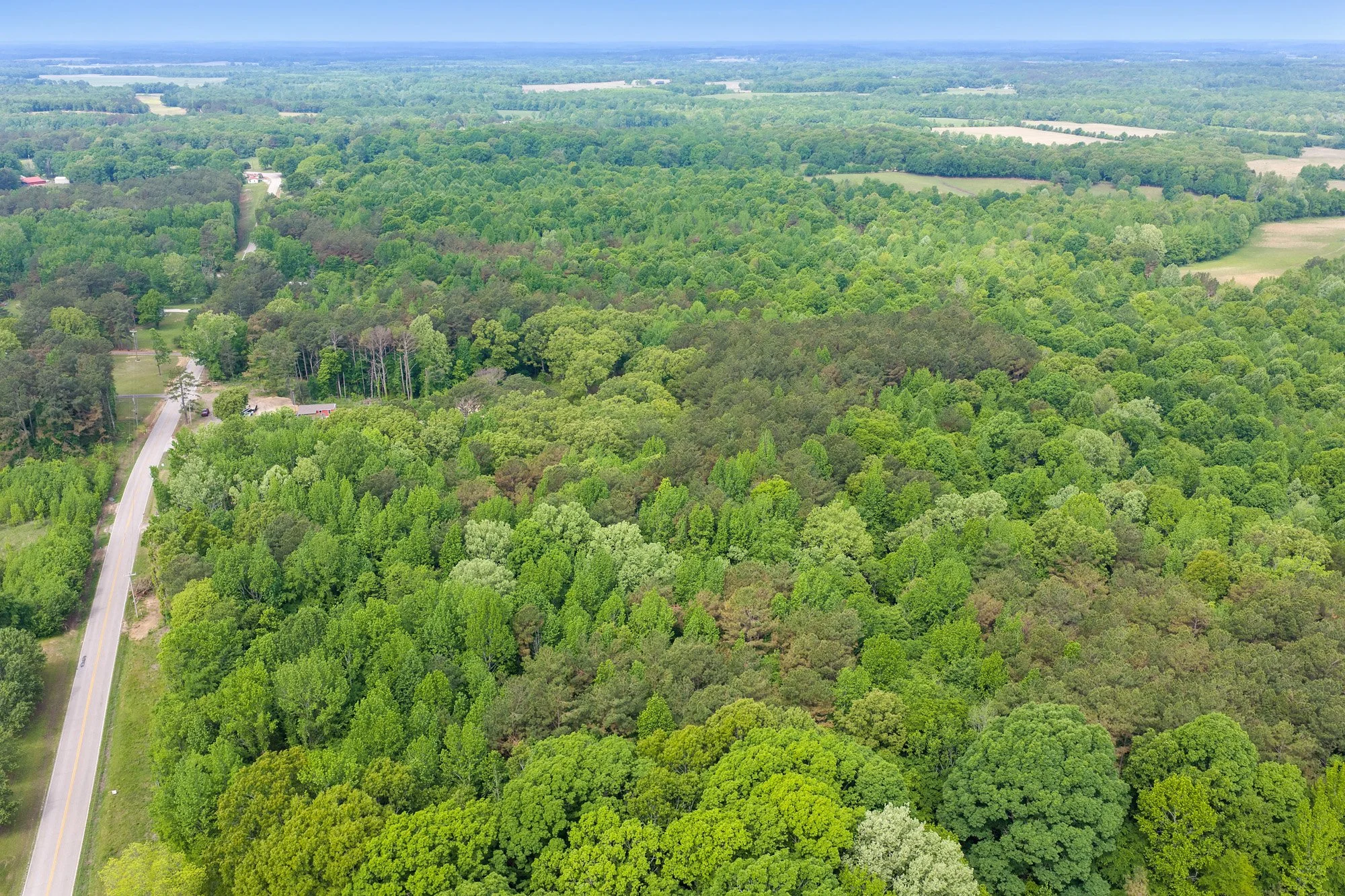 DJI_20260424103215_0985_D.jpg