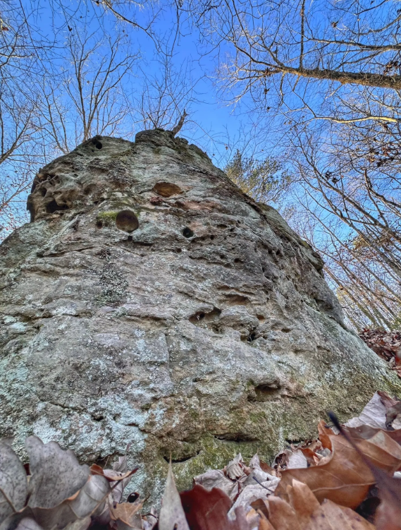 Image 44.png