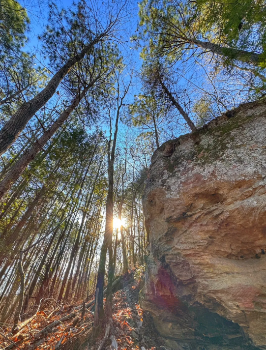 Image 36.png