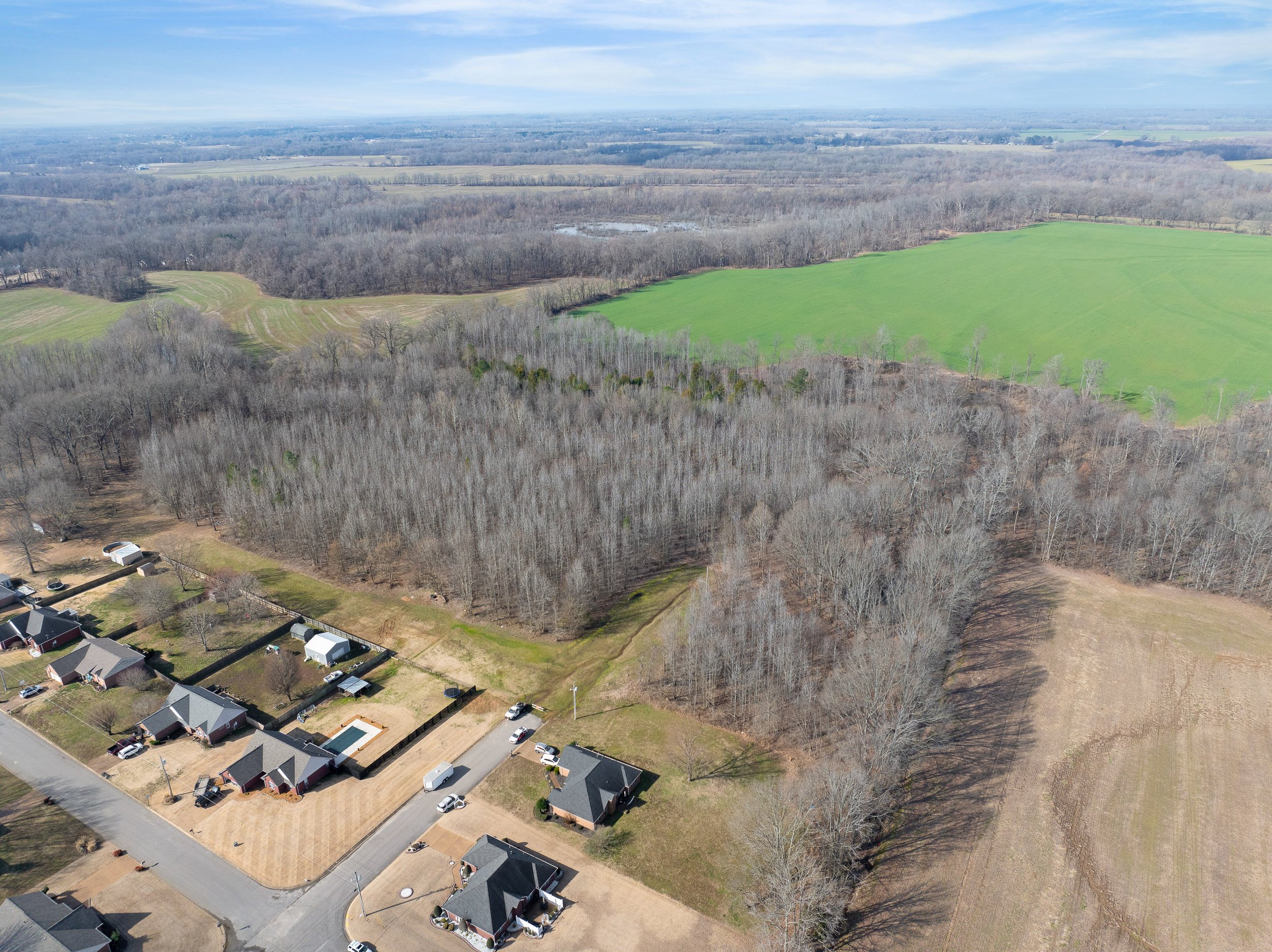 DJI_20250308102526_0178_D.jpg
