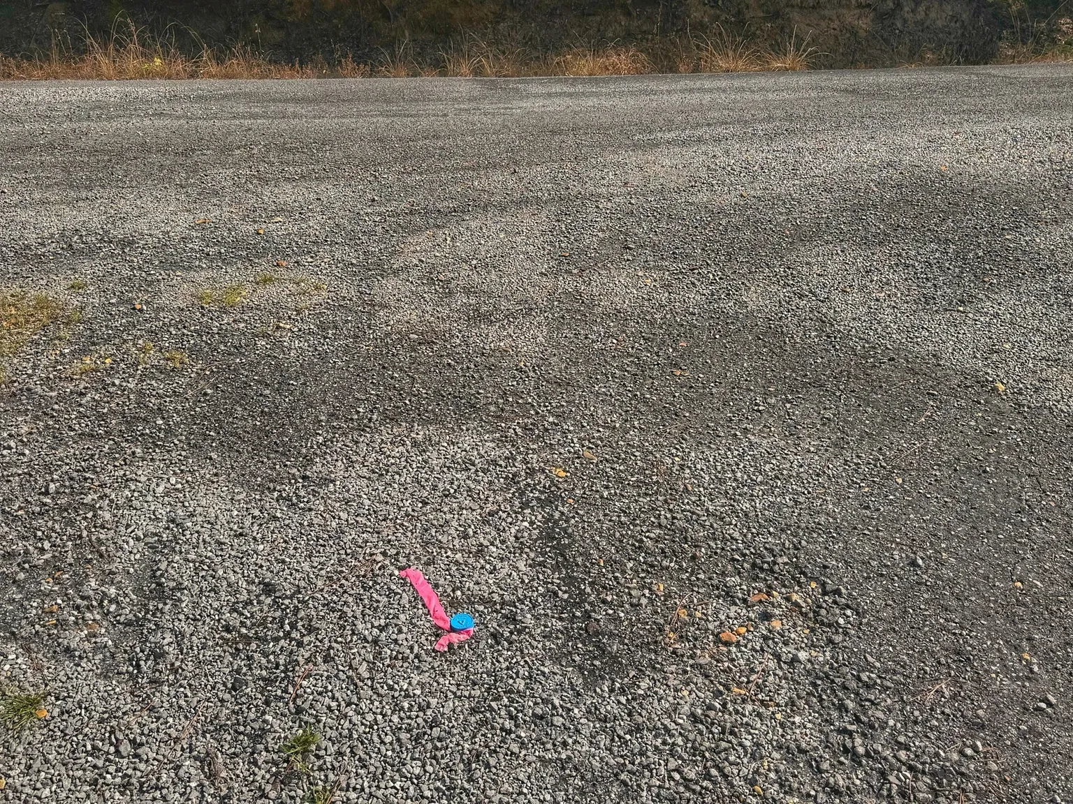 1-6422325497.png