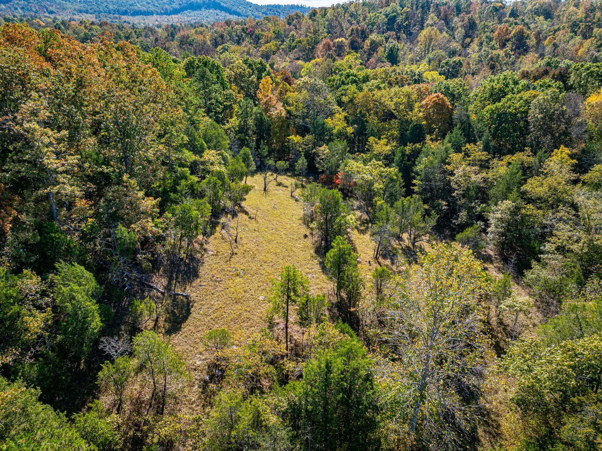 4. DJI_20251018111808_0405_D.jpg