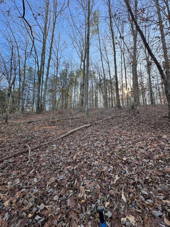Image 71.png