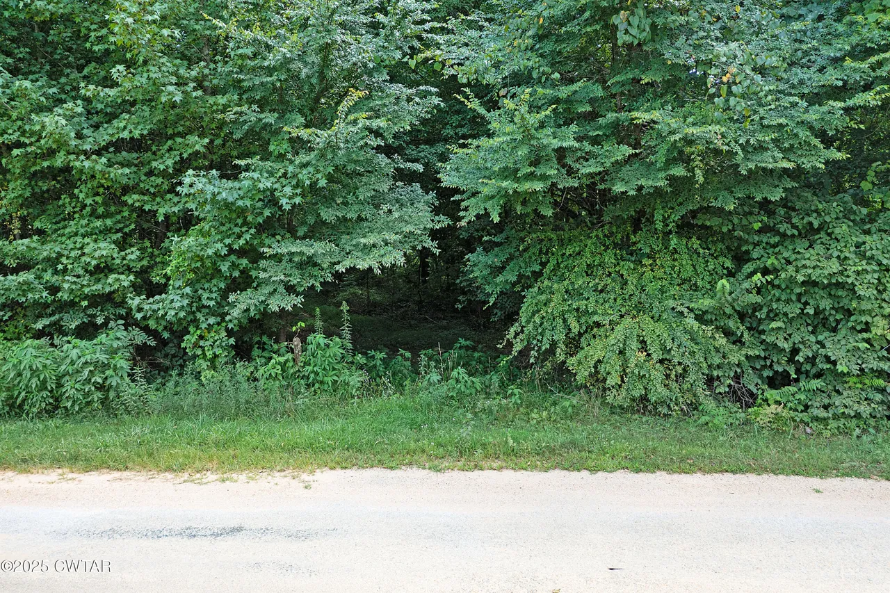 land_photo_12.png