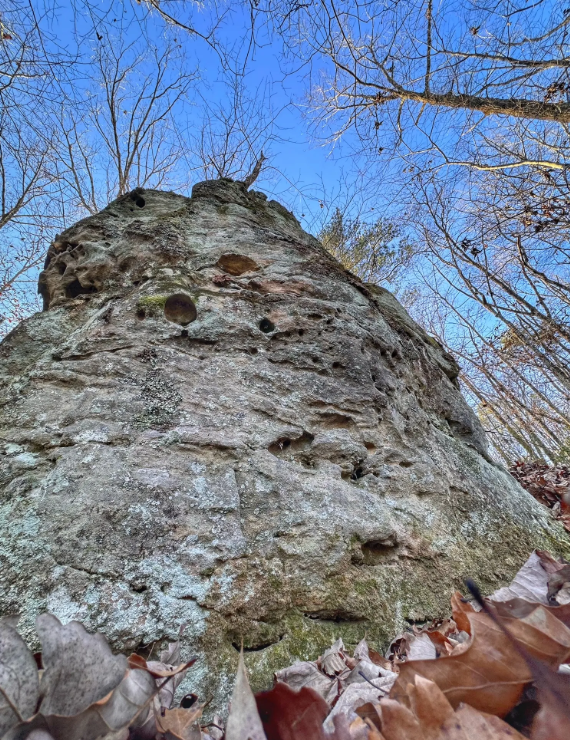 Image 75.png
