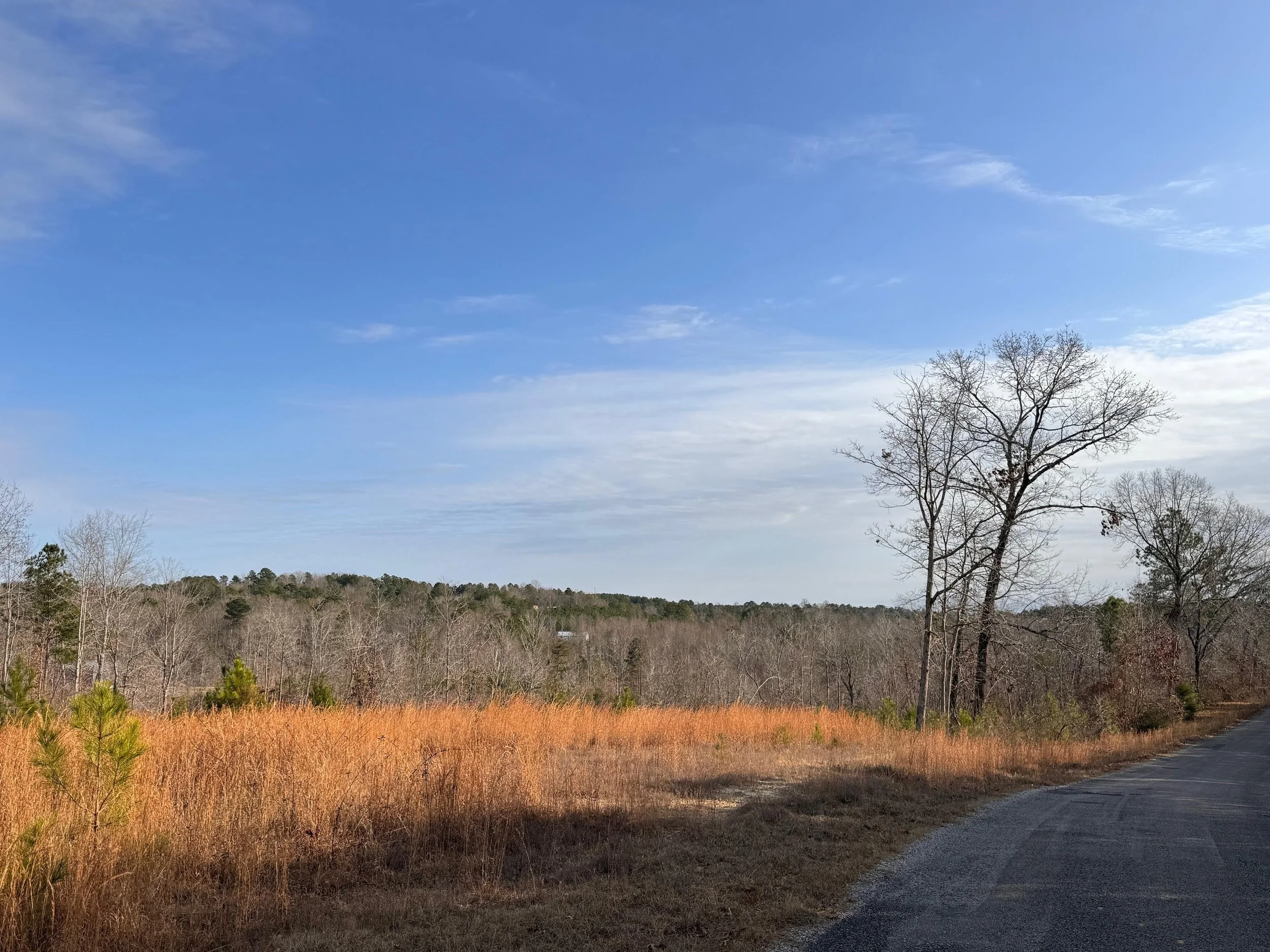 15 Acres - Marion County, AL