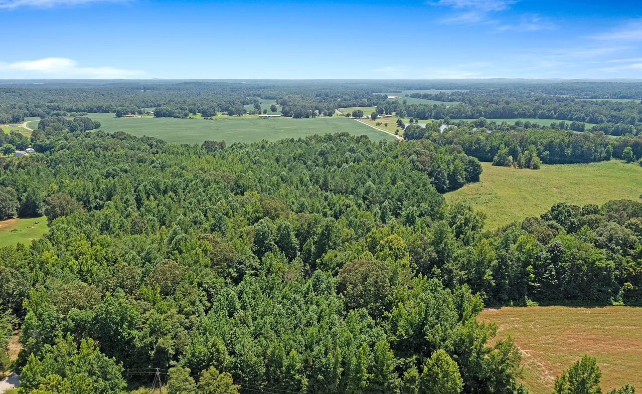land_photo_07.png