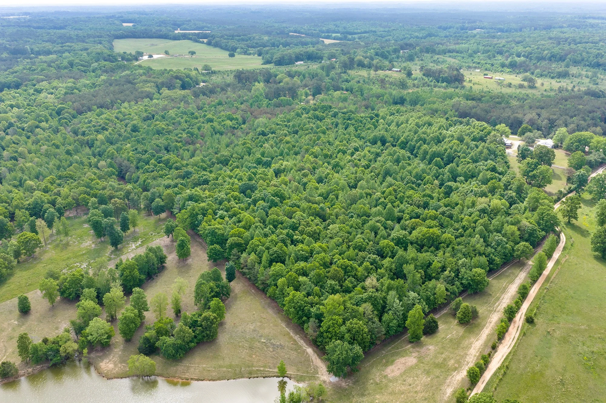 5. DJI_20260424102834_0975_D.jpg