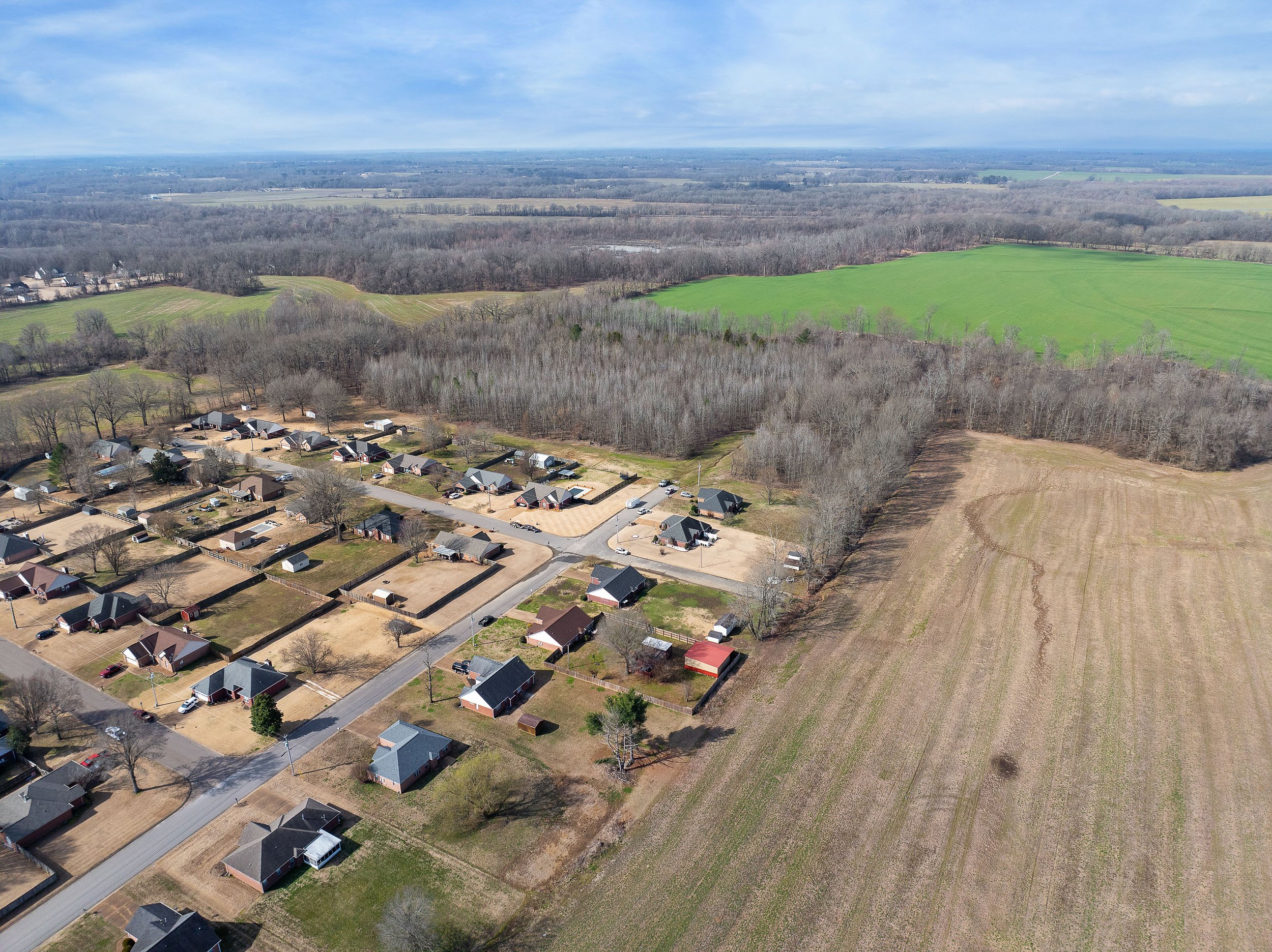 DJI_20250308103610_0195_D.jpg