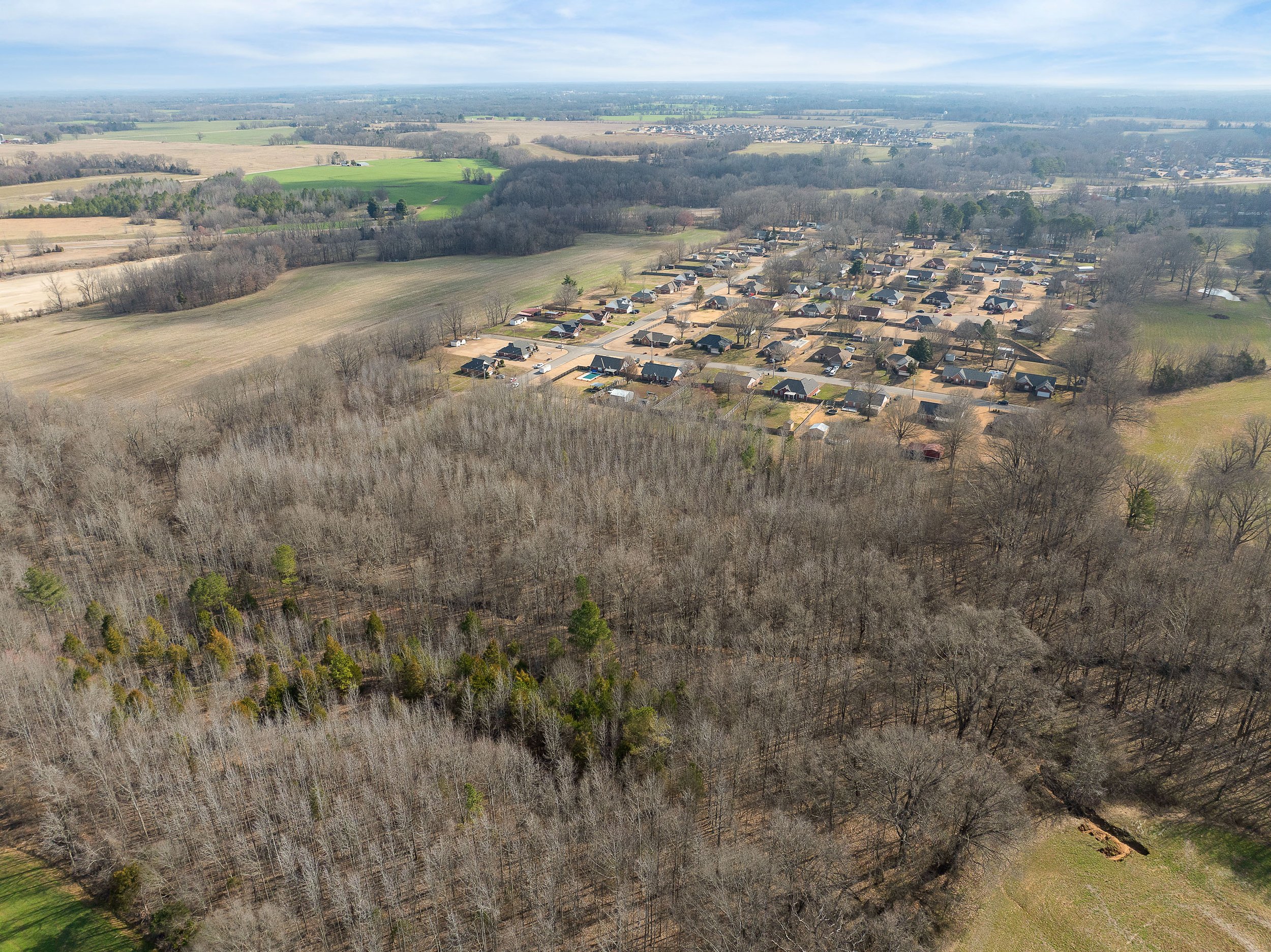 DJI_20250308102733_0181_D.jpg
