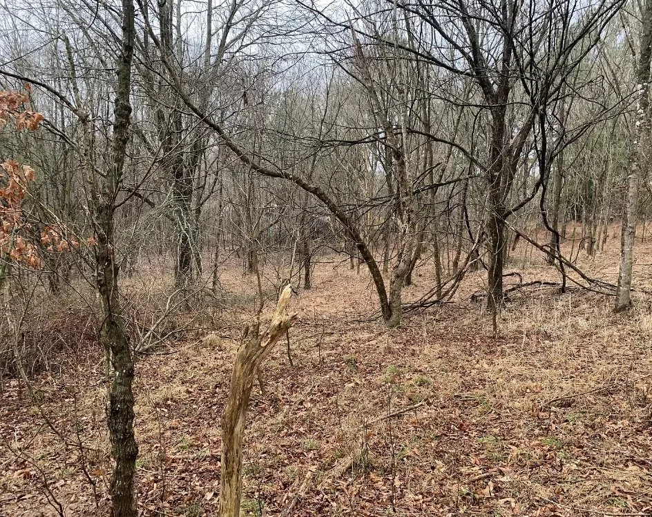 8. Image 6.jpg