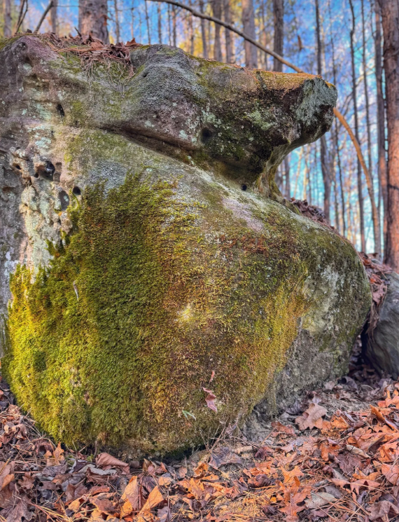 Image 42.png