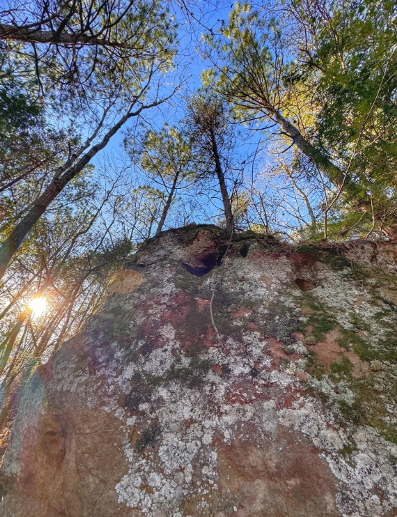 Image 41.png
