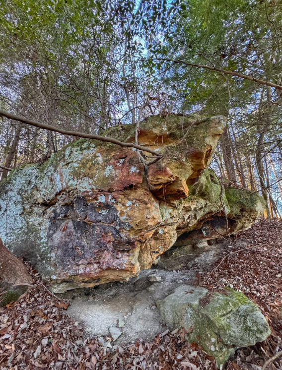 Image 49.png