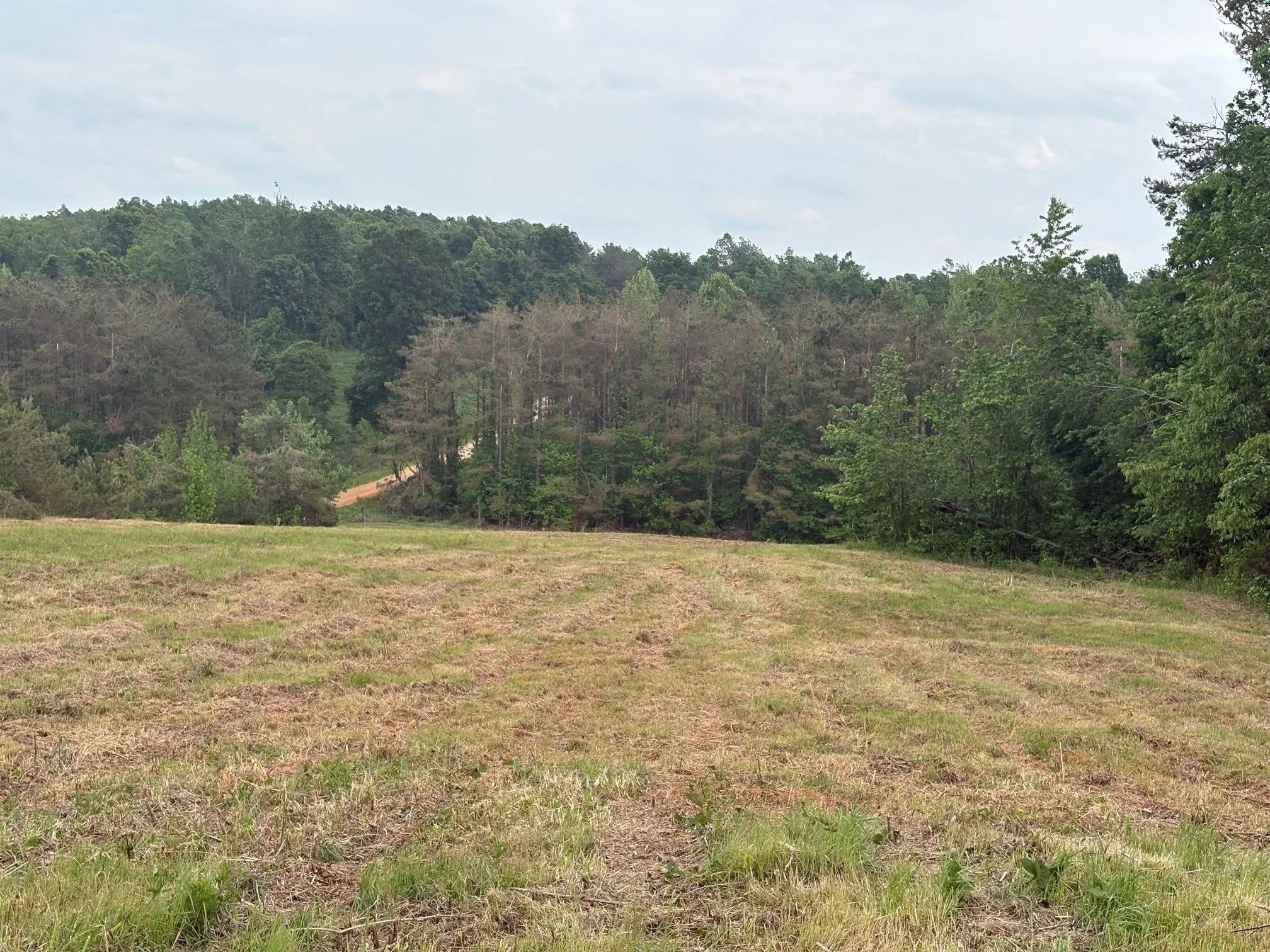 17.5 Acres - Tippah County, MS