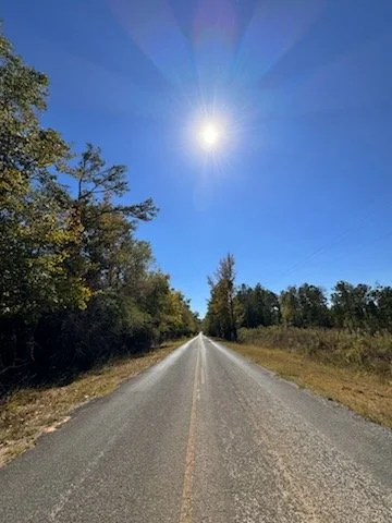 SOLD 35 Acres -  Sumter County, AL