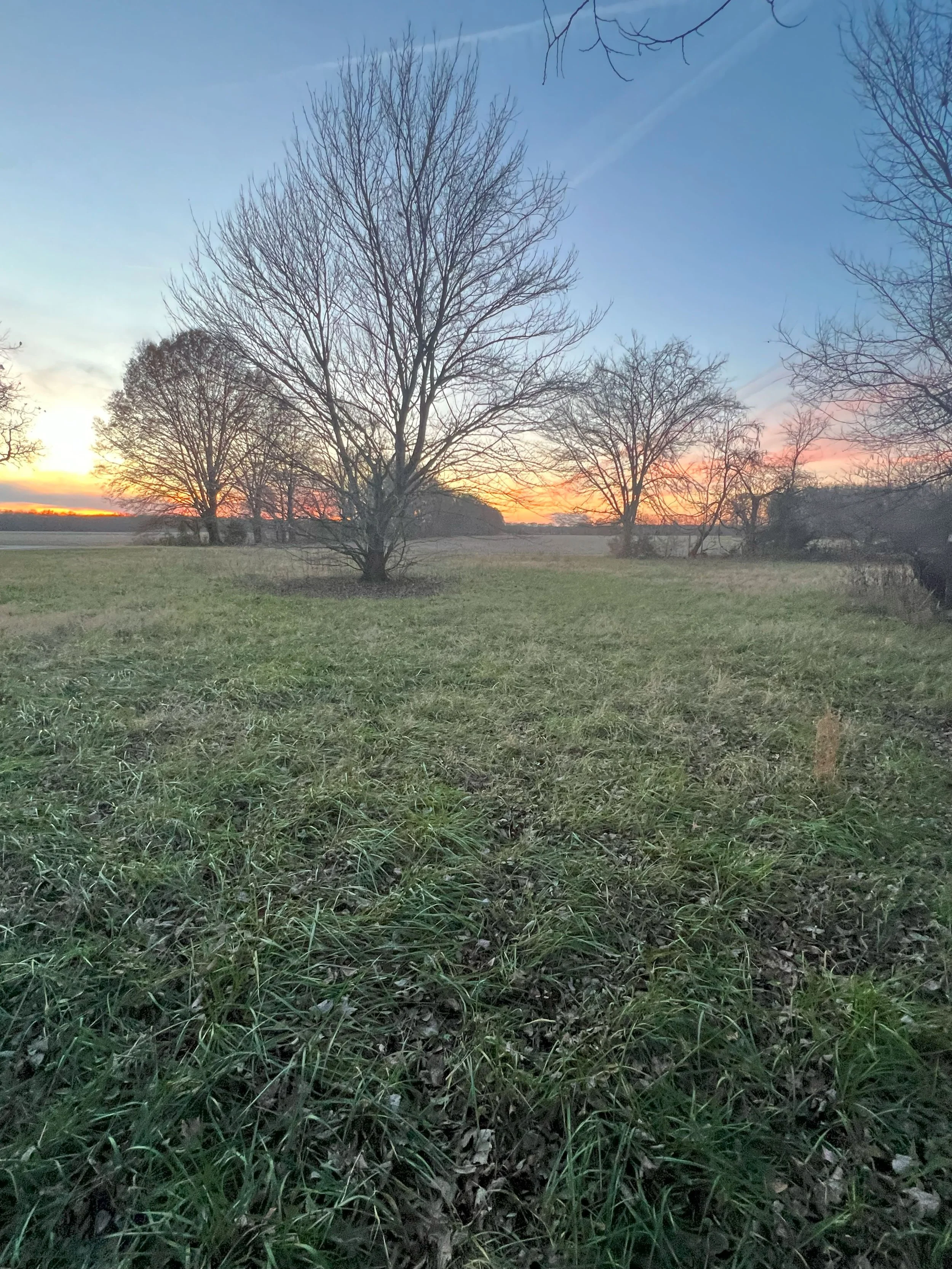 2.4 Acres - Dyer County, TN