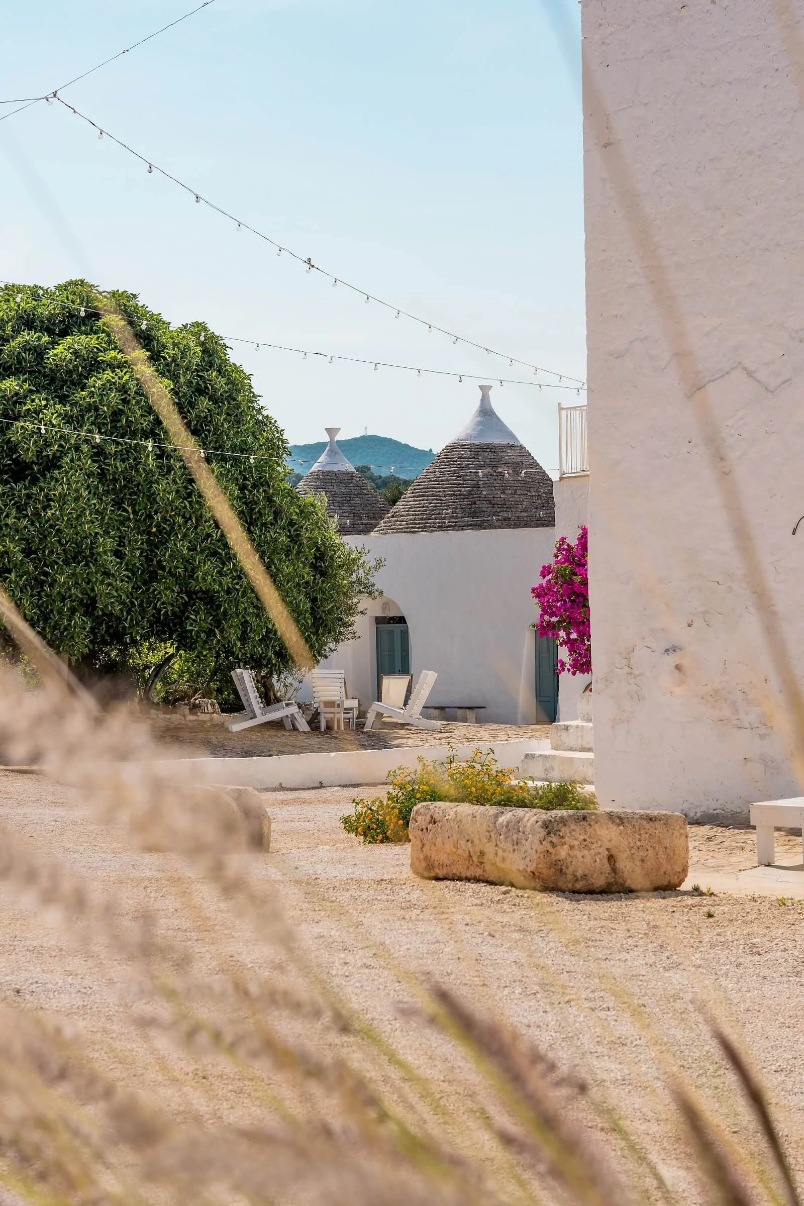 Masseria mozzone 2.jpg