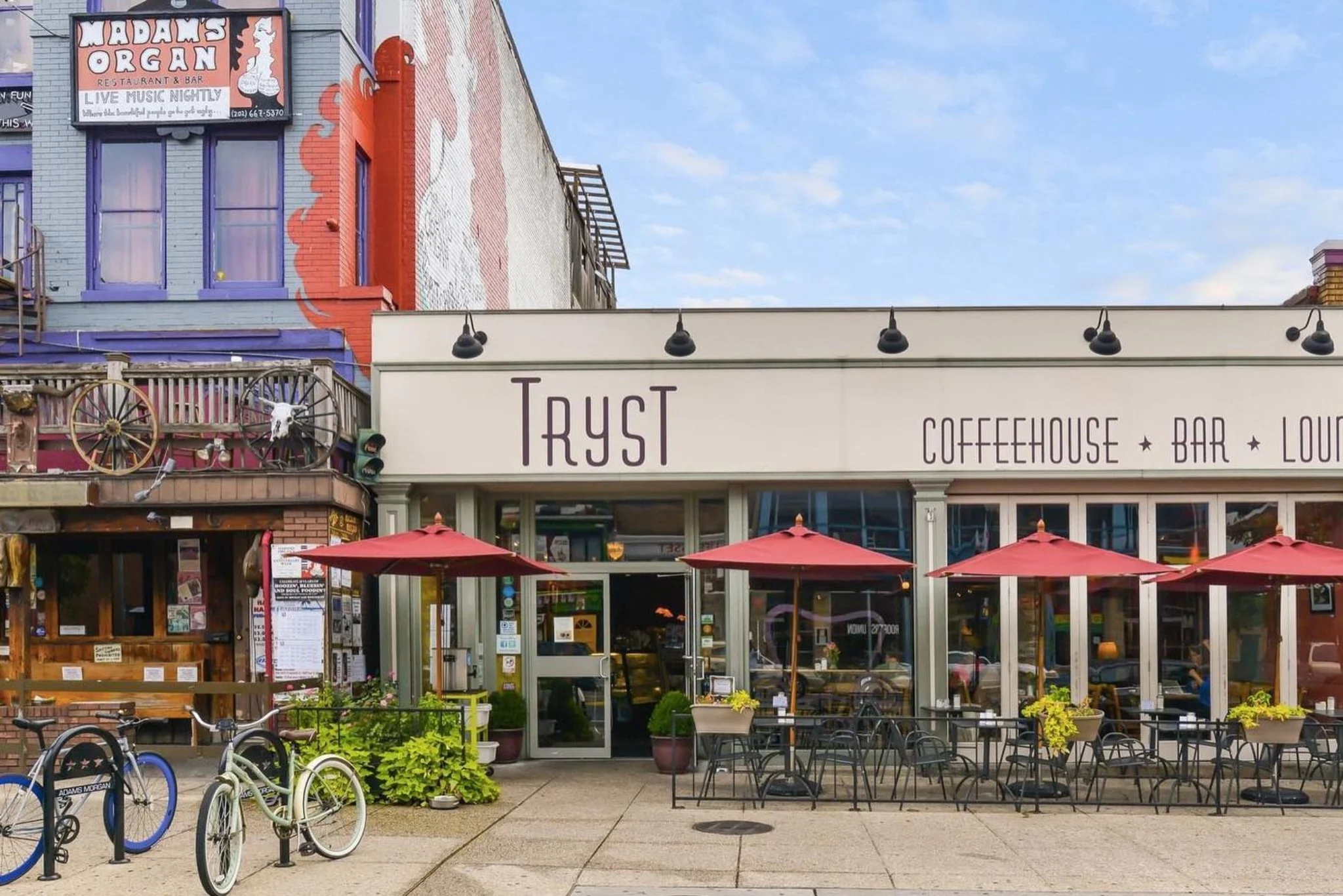 Animal Welfare meetup - Discussion at Tryst