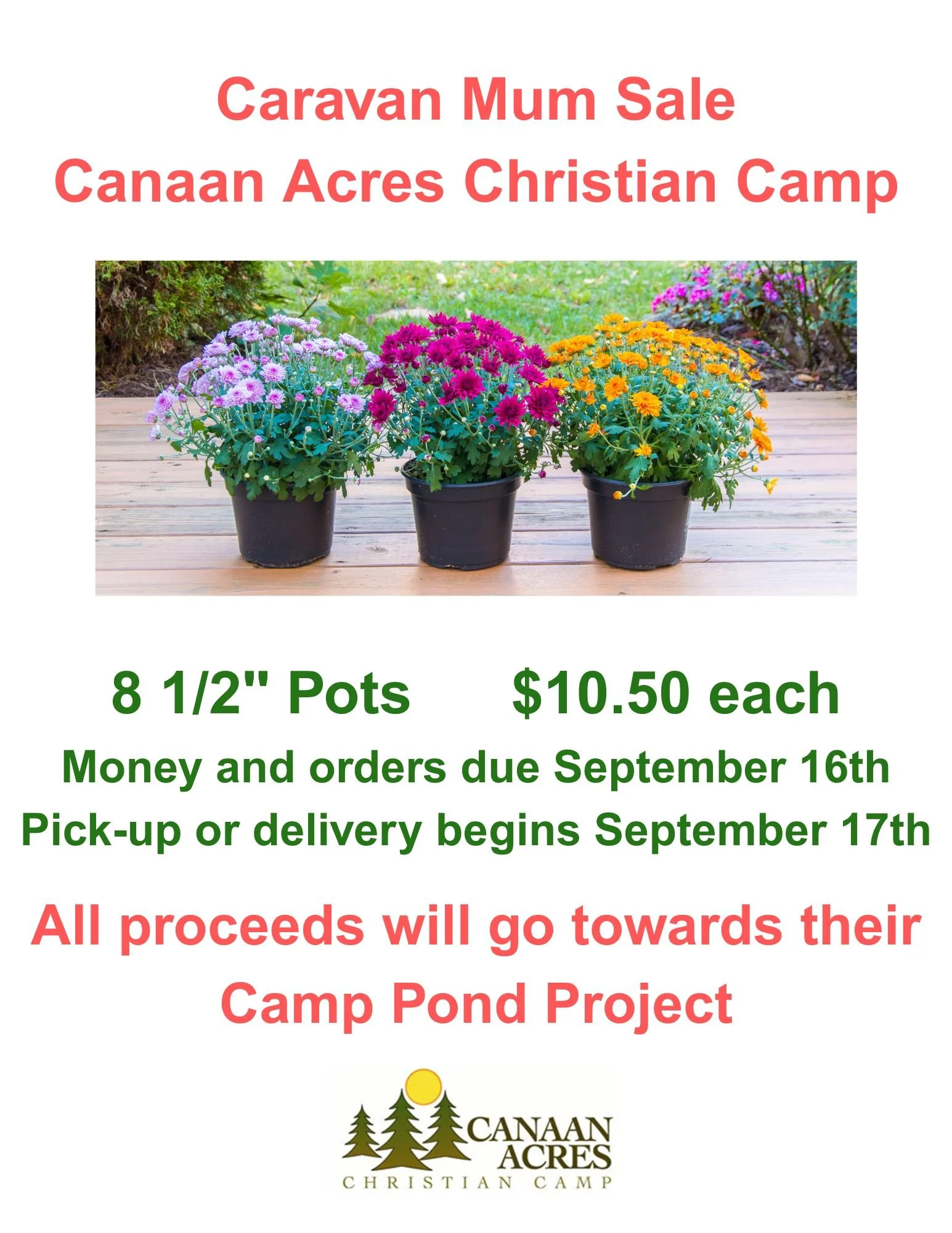 Caravan Mum Sale