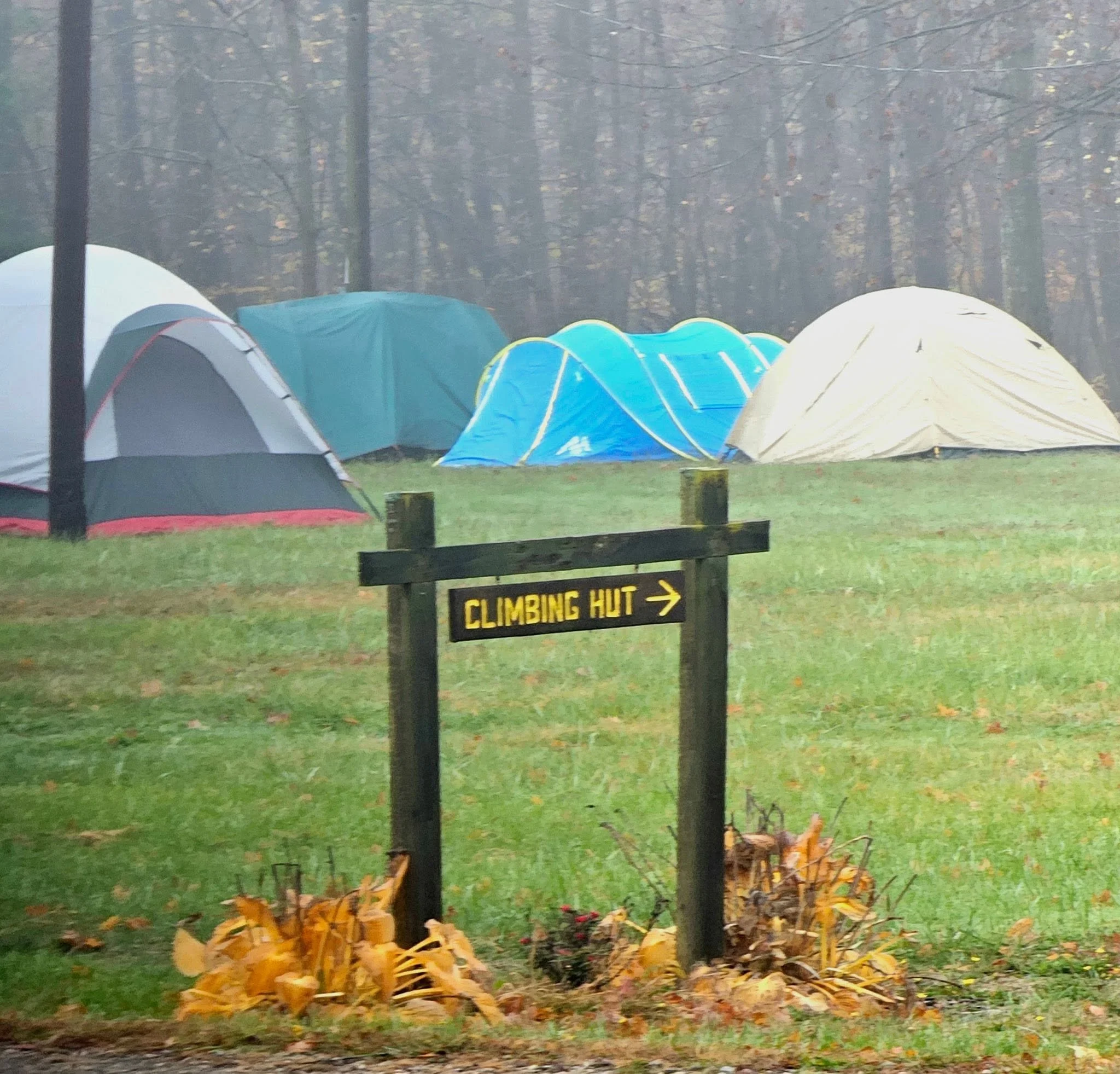 Scout Camp