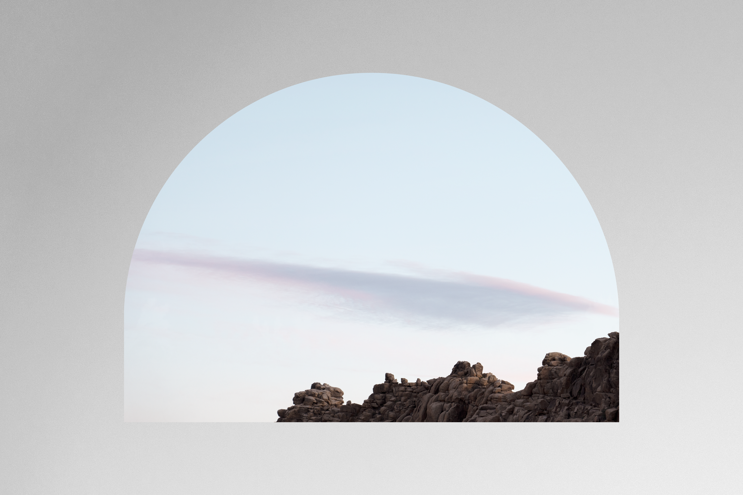 Joshua Tree No. 3 (Dusk) Fine Art Print