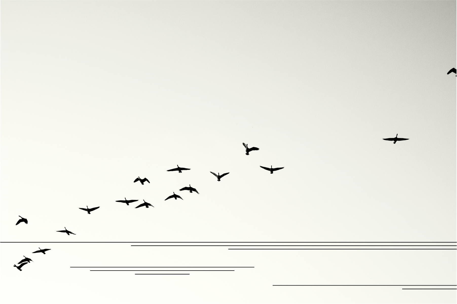 That View Tho Fine Art Print