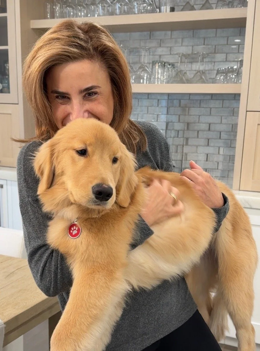 Meet Millie my Golden Retriever puppy training to be a therapy dog.