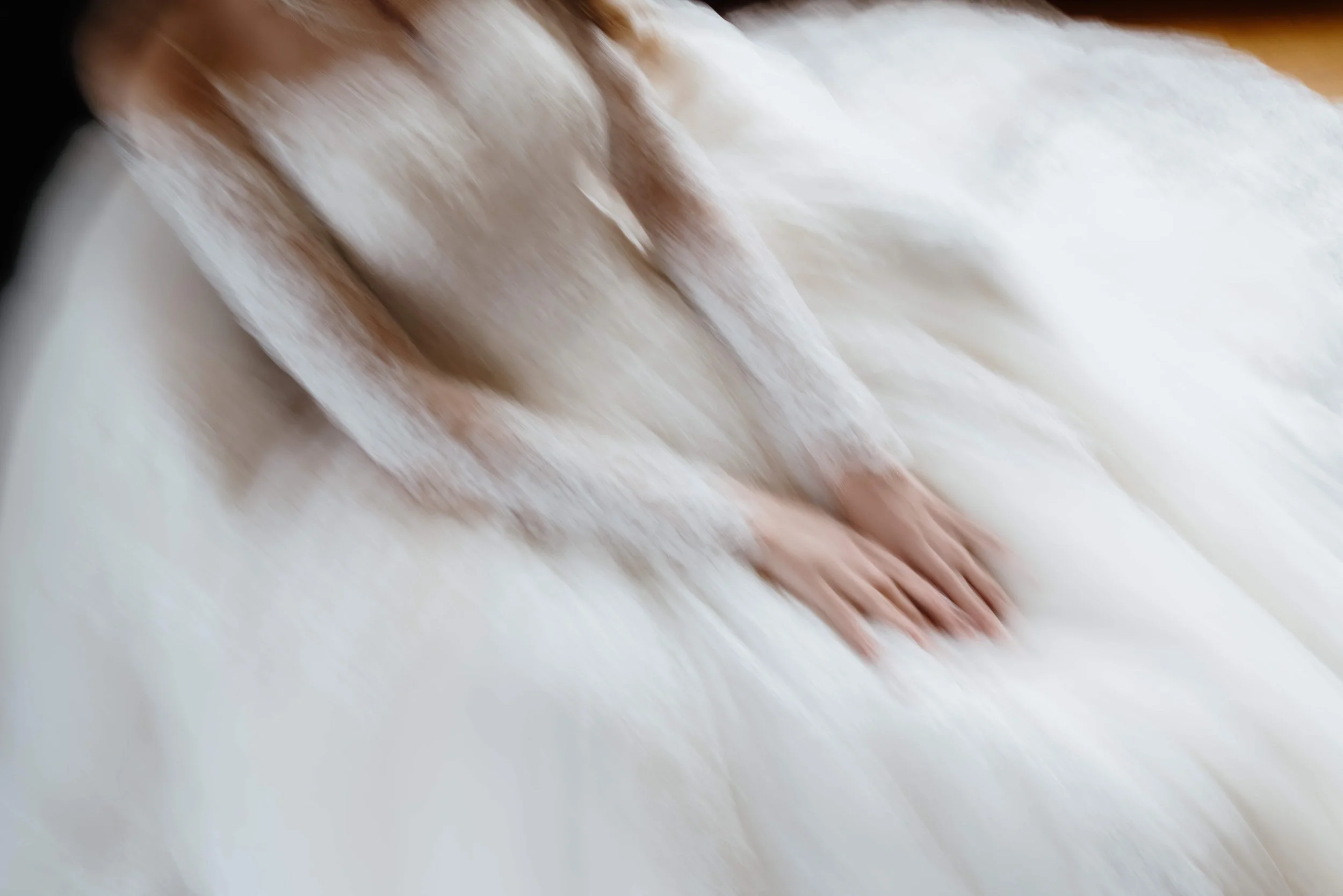 Elope Los Angeles: A Cinematic Guide to Intimate LA Elopements